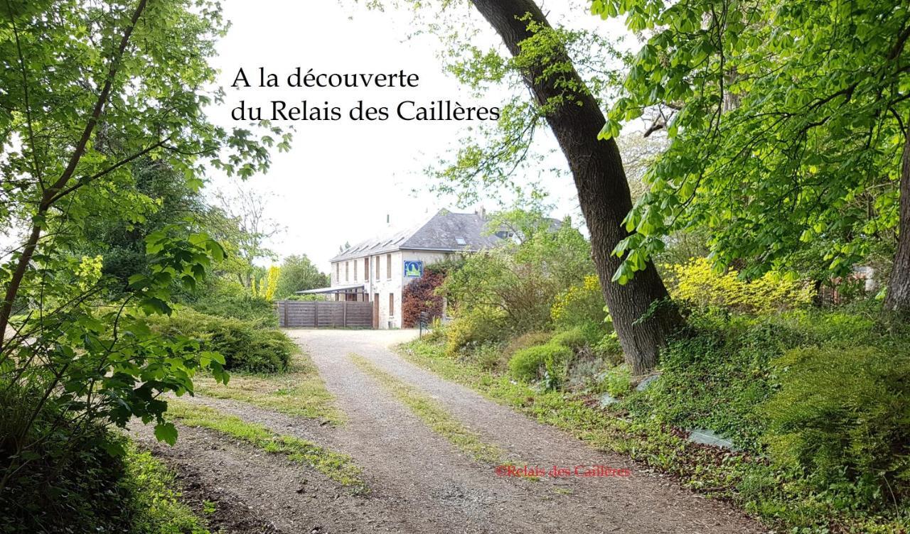 Hotel Logis Relais Des Caillères Saint Pavace Esterno foto